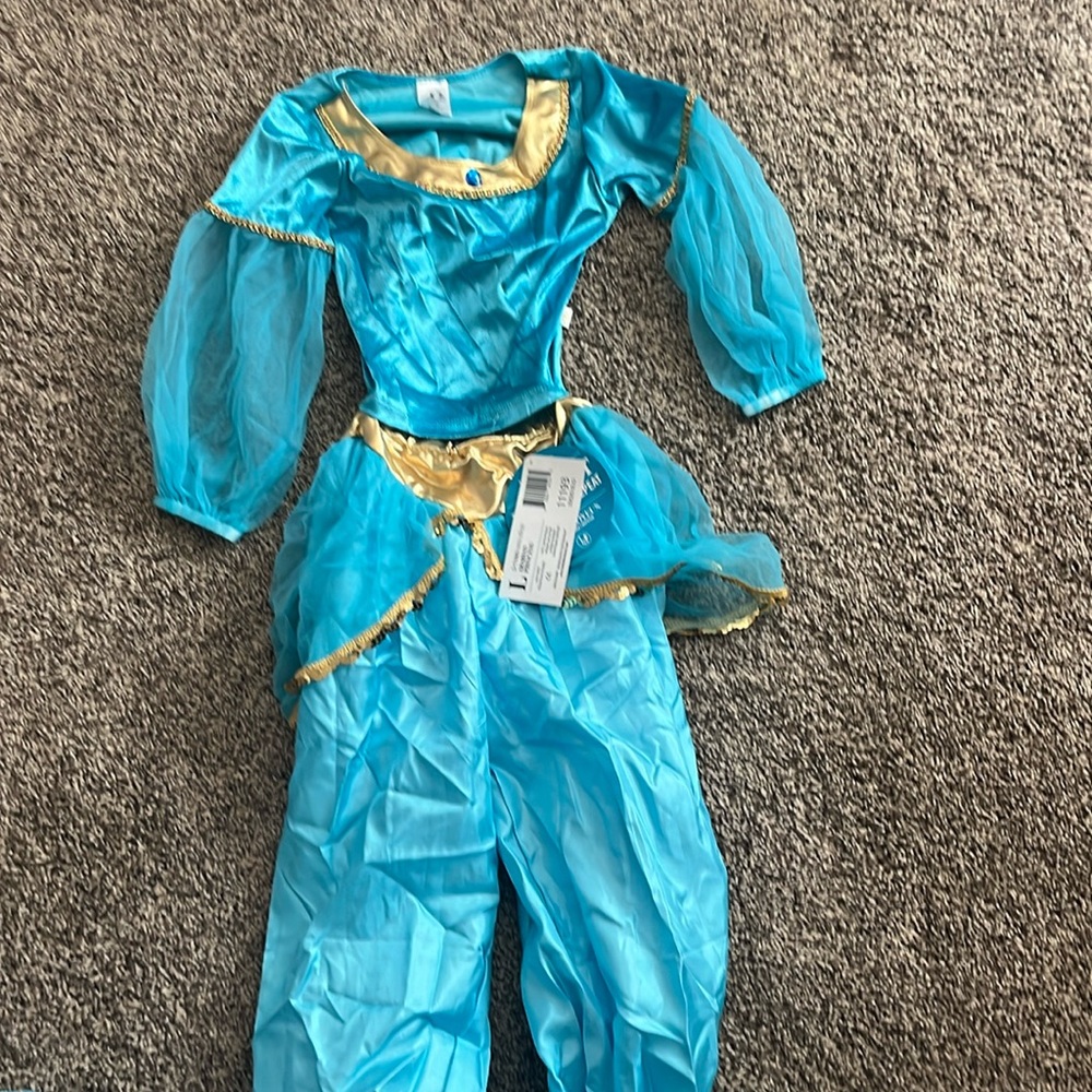 Princess Jasmine dress up
